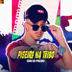 Piseiro na Tribo