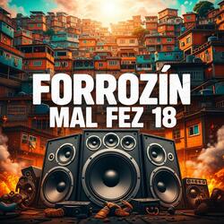 Forrozin Mal Fez 18
