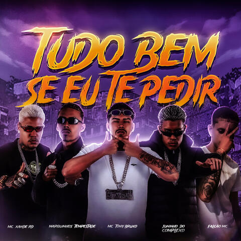 Tudo Bem, Se Eu Te Pedir