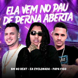 Ela Vem no Pau de Perna Aberta