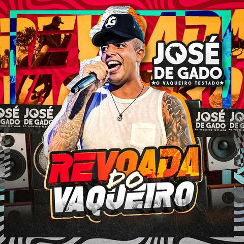Revoada do Vaqueiro