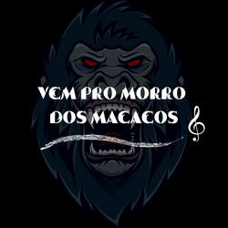 Vem pro Morro dos Macacos