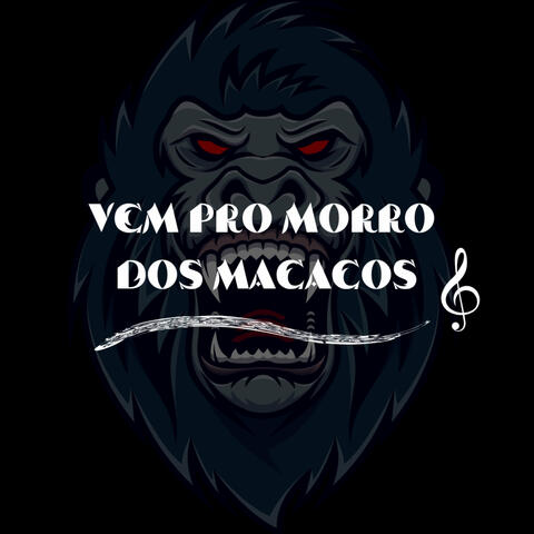 Vem pro Morro dos Macacos