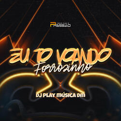 Forrozinho Eu Tô Voando