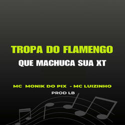 Tropa do Flamengo Que Machuca a Minha Xt