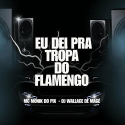 Eu Dei pra Tropa do Flamengo