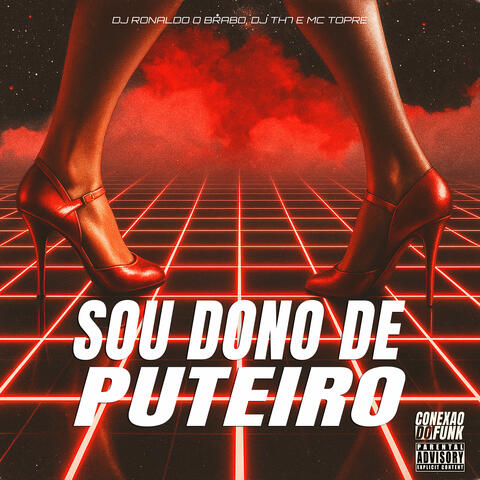 Sou Dono de Puteiro