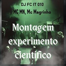 Montagem Experimento Científico