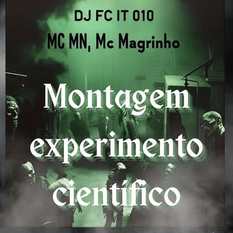 Montagem Experimento Científico