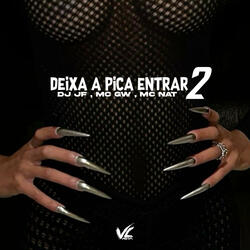 Deixa a Pica Entrar 2