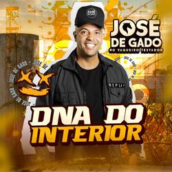 Dna do Interior
