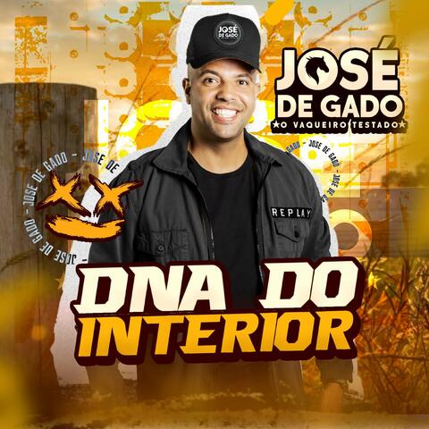Dna do Interior