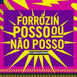 Forrózin Posso ou Não Posso