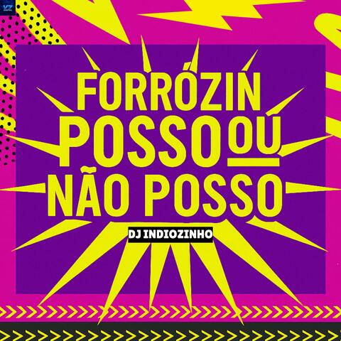 Forrózin Posso ou Não Posso