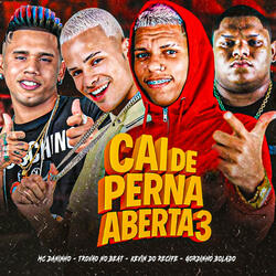 Cai de Perna Aberta 3