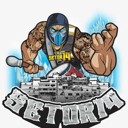 Setor 14