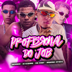 Profissional do Job