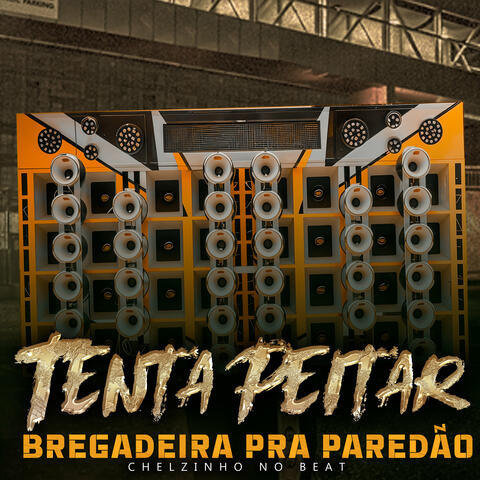 Tenta Peitar Bregadeira pra Paredão
