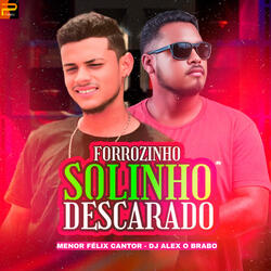 Forrozinho Solinho Descarado