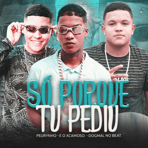 Só Porque Tu Pediu