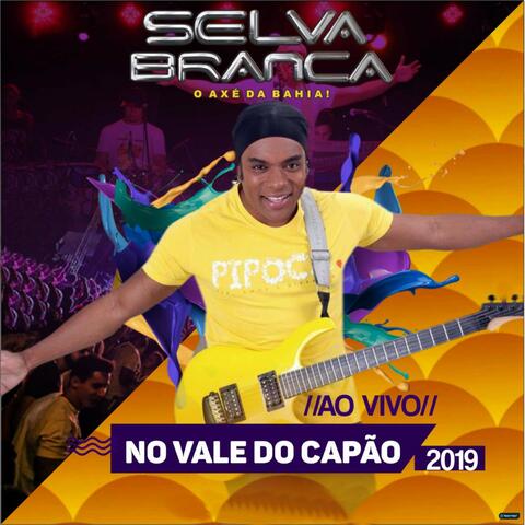 Ao Vivo no Vale do Capão 2019