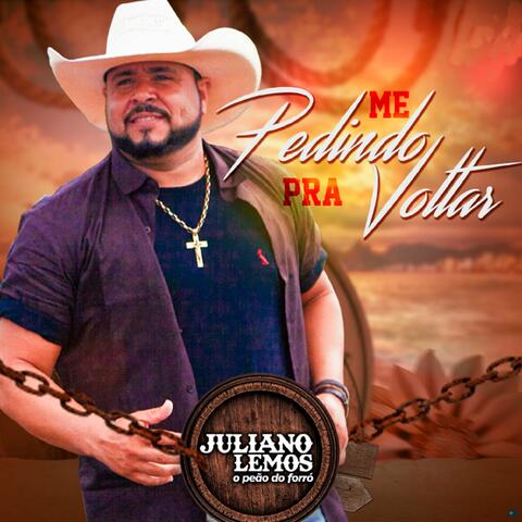 Me Pedindo pra Voltar