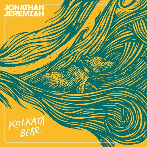 Kolkata Bear