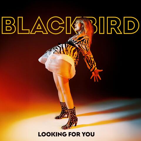 Looking For You