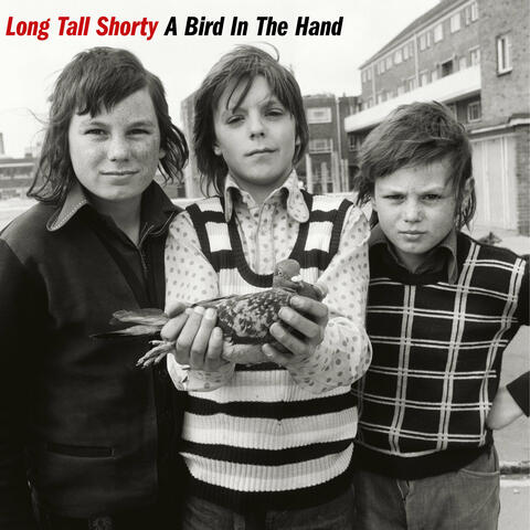 Long Tall Shorty