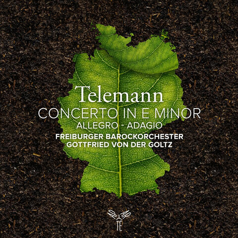 Telemann: Concerto for Flute and Violin in E Minor, TWV 52:e3: Allegro - Adagio