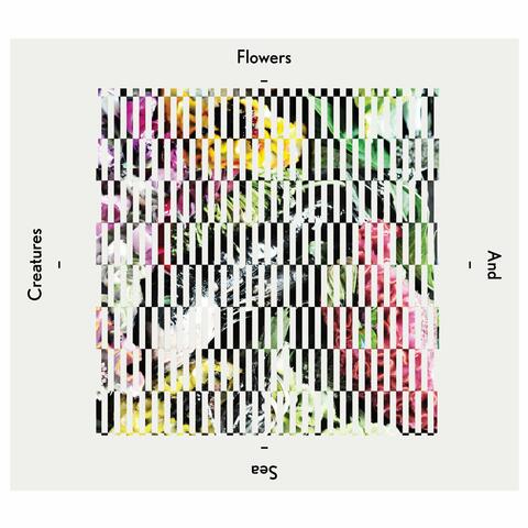 Flowers and Sea Creatures