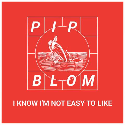 I Know I'm Not Easy To Like