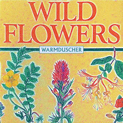 Wild Flowers