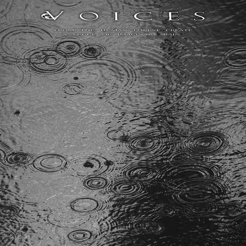 From The Human Forest Create A Fugue Of Imaginary Rain