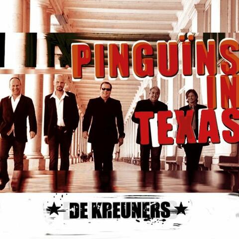 Pinguins in Texas