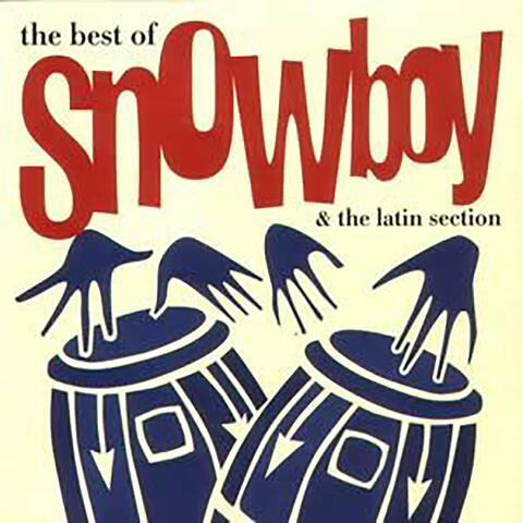 The Best of Snowboy