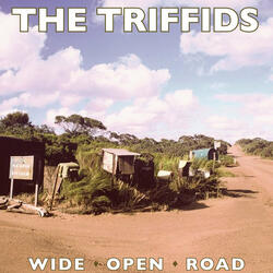 Wide Open Road