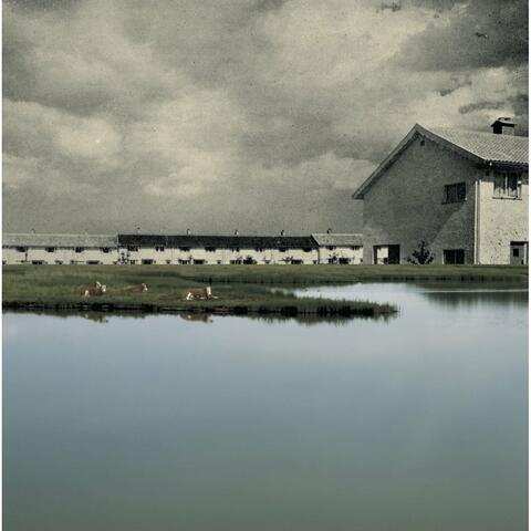 July Skies