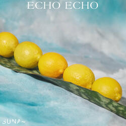 Echo echo