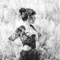 Divine Wind