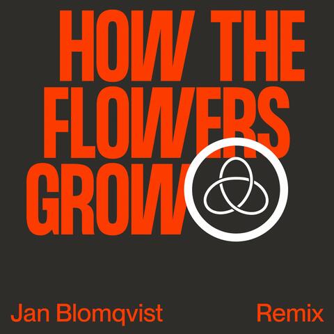 How The Flowers Grow
