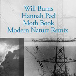 Moth Book