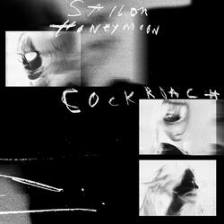 Cockroach
