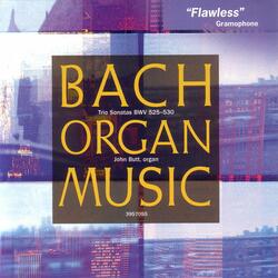 Trio Sonata No. 5 in C Major, BWV 529: III. Allegro