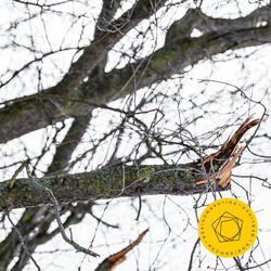 Symphony No. 2 in E Minor, Op. 27: II. Allegro molto