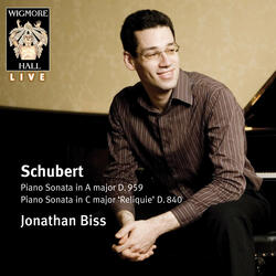 Piano Sonata No. 15 in C Major, D. 840 "Reliquie": I. Moderato
