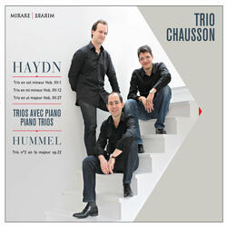 Trio en Sol Mineur, Hob XV:1: III. Presto