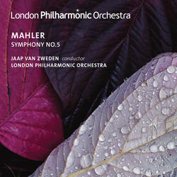 Symphony No. 5 in C-Sharp Minor: IV. Adagietto