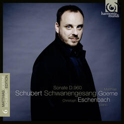 Piano Sonata No. 21 in B-Flat Major, D. 960: I. Molto moderato