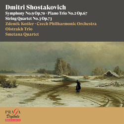 Piano Trio No. 2 in E Minor, Op. 67: I. Andante - Moderato - Più mosso